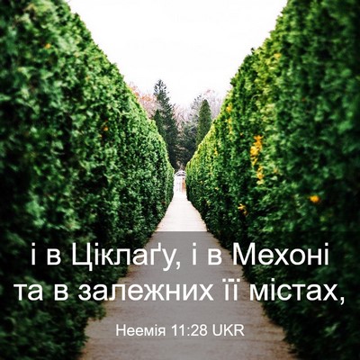 Picture 03 - Неемія 11:28 UKR - і в Ціклаґу, і в Мехоні та в - Bible Verse Picture