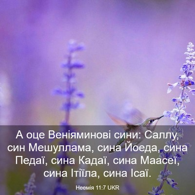 Picture 03 - Неемія 11:7 UKR - А оце Веніяминові сини: - Bible Verse Picture