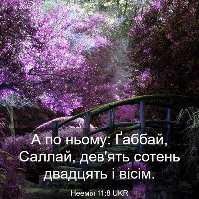 Picture 03 - Неемія 11:8 UKR - А по ньому: Ґаббай, Саллай, - Bible Verse Picture