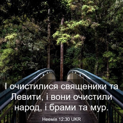 Picture 03 - Неемія 12:30 UKR - І очистилися священики та - Bible Verse Picture