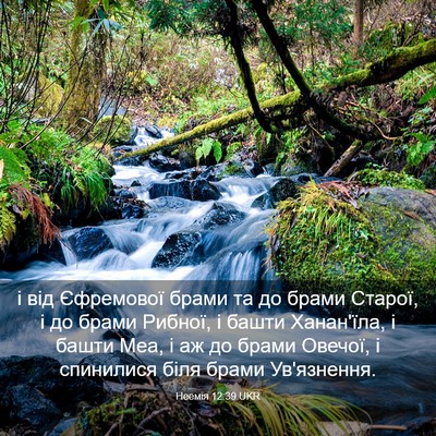 Picture 03 - Неемія 12:39 UKR - і від Єфремової брами та до - Bible Verse Picture