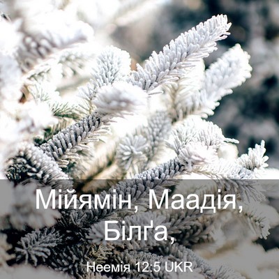 Picture 03 - Неемія 12:5 UKR - Мійямін, Маадія, - Bible Verse Picture