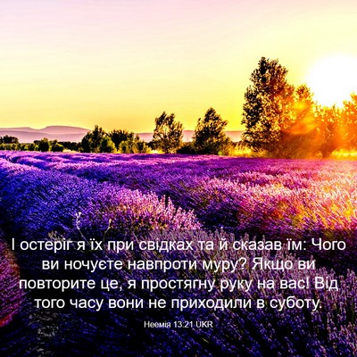 Picture 03 - Неемія 13:21 UKR - І остеріг я їх при свідках - Bible Verse Picture