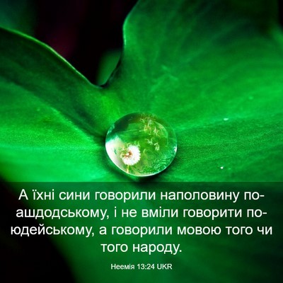 Picture 03 - Неемія 13:24 UKR - А їхні сини говорили - Bible Verse Picture