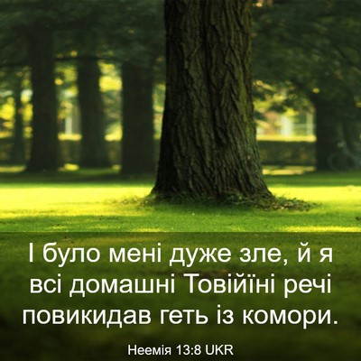 Picture 03 - Неемія 13:8 UKR - І було мені дуже зле, й я - Bible Verse Picture
