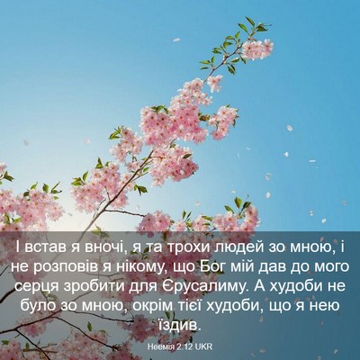 Picture 03 - Неемія 2:12 UKR - І встав я вночі, я та трохи - Bible Verse Picture