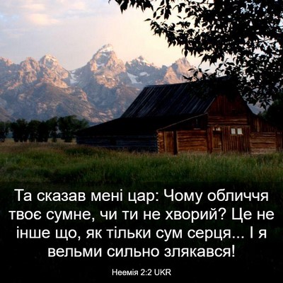 Picture 03 - Неемія 2:2 UKR - Та сказав мені цар: Чому - Bible Verse Picture