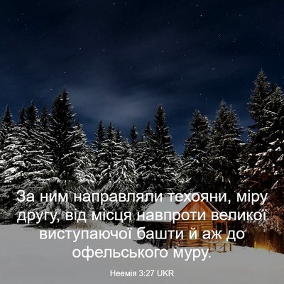 Picture 03 - Неемія 3:27 UKR - За ним направляли техояни, - Bible Verse Picture