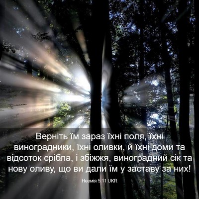 Picture 03 - Неемія 5:11 UKR - Верніть їм зараз їхні поля, - Bible Verse Picture