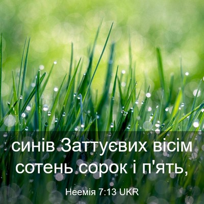 Picture 03 - Неемія 7:13 UKR - синів Заттуєвих вісім - Bible Verse Picture