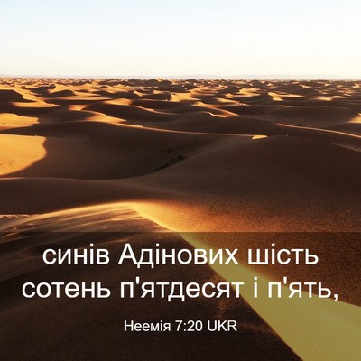 Picture 03 - Неемія 7:20 UKR - синів Адінових шість - Bible Verse Picture