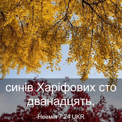 Picture 03 - Неемія 7:24 UKR - синів Харіфових сто - Bible Verse Picture