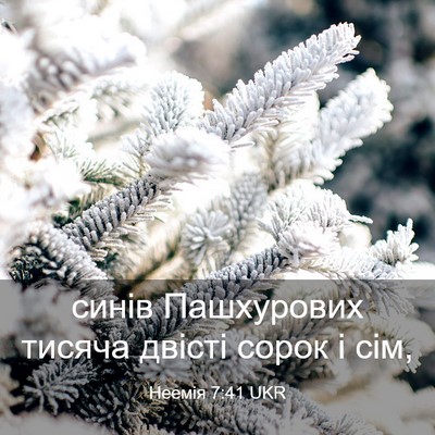 Picture 03 - Неемія 7:41 UKR - синів Пашхурових тисяча - Bible Verse Picture