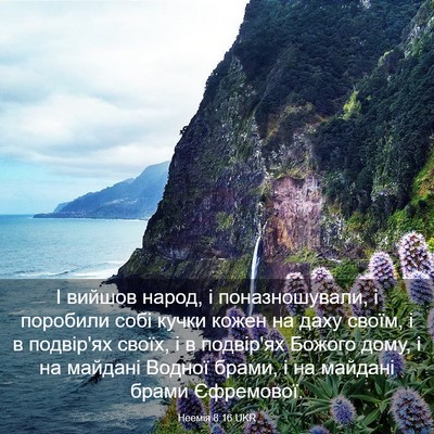 Picture 03 - Неемія 8:16 UKR - І вийшов народ, і - Bible Verse Picture