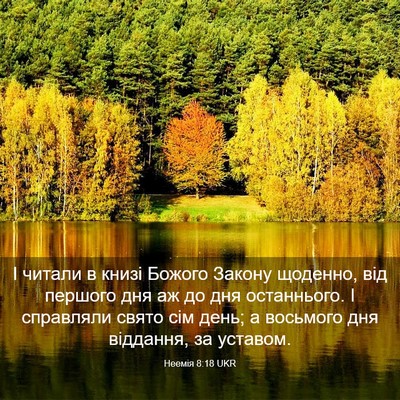 Picture 03 - Неемія 8:18 UKR - І читали в книзі Божого - Bible Verse Picture