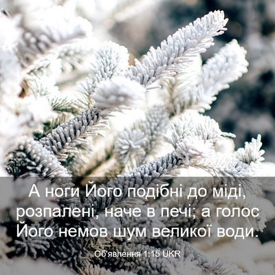 Picture 03 - Об'явлення 1:15 UKR - А ноги Його подібні до - Bible Verse Picture