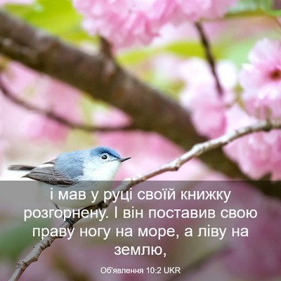 Picture 03 - Об'явлення 10:2 UKR - і мав у руці своїй книжку - Bible Verse Picture