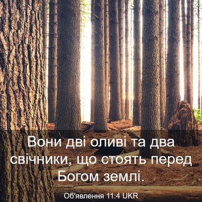 Picture 03 - Об'явлення 11:4 UKR - Вони дві оливі та два - Bible Verse Picture