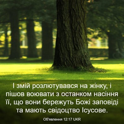 Picture 03 - Об'явлення 12:17 UKR - І змій розлютувався на - Bible Verse Picture