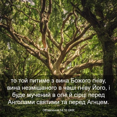 Picture 03 - Об'явлення 14:10 UKR - то той питиме з вина Божого - Bible Verse Picture