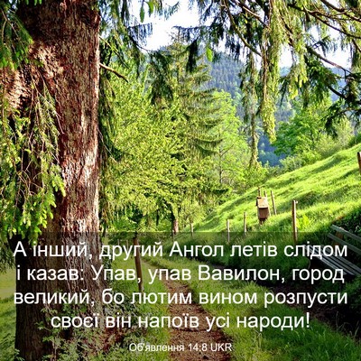 Picture 03 - Об'явлення 14:8 UKR - А інший, другий Ангол летів - Bible Verse Picture