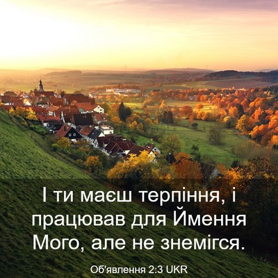 Picture 03 - Об'явлення 2:3 UKR - І ти маєш терпіння, і - Bible Verse Picture