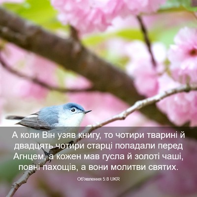 Picture 03 - Об'явлення 5:8 UKR - А коли Він узяв книгу, то - Bible Verse Picture