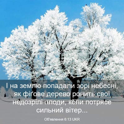 Picture 03 - Об'явлення 6:13 UKR - І на землю попадали зорі - Bible Verse Picture