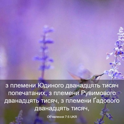 Picture 03 - Об'явлення 7:5 UKR - з племени Юдиного - Bible Verse Picture