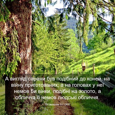 Picture 03 - Об'явлення 9:7 UKR - А вигляд сарани був - Bible Verse Picture