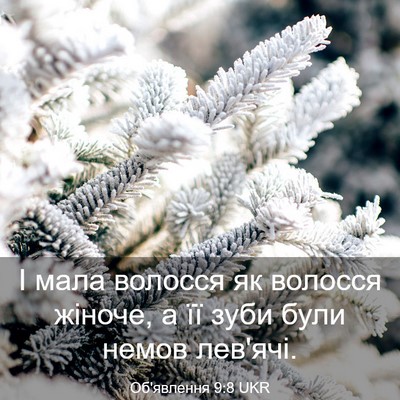 Picture 03 - Об'явлення 9:8 UKR - І мала волосся як волосся - Bible Verse Picture