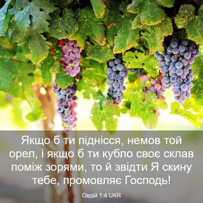 Picture 03 - Овдій 1:4 UKR - Якщо б ти піднісся, немов - Bible Verse Picture