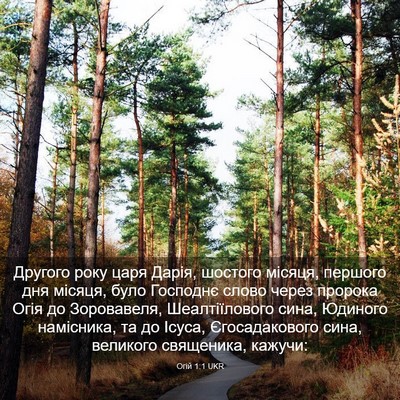 Picture 03 - Огій 1:1 UKR - Другого року царя Дарія, - Bible Verse Picture