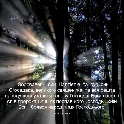 Picture 03 - Огій 1:12 UKR - І Зоровавель, син - Bible Verse Picture