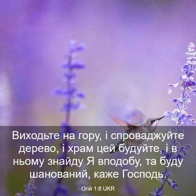 Picture 03 - Огій 1:8 UKR - Виходьте на гору, і - Bible Verse Picture