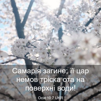 Picture 03 - Осія 10:7 UKR - Самарія загине; її цар - Bible Verse Picture