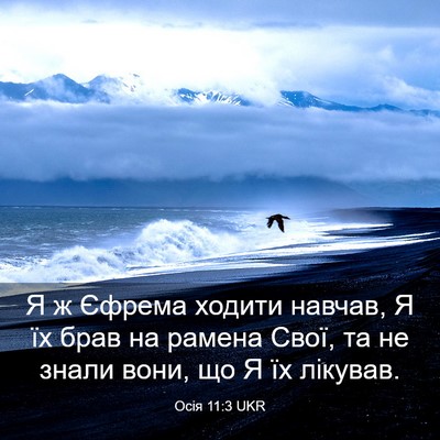 Picture 03 - Осія 11:3 UKR - Я ж Єфрема ходити навчав, Я - Bible Verse Picture