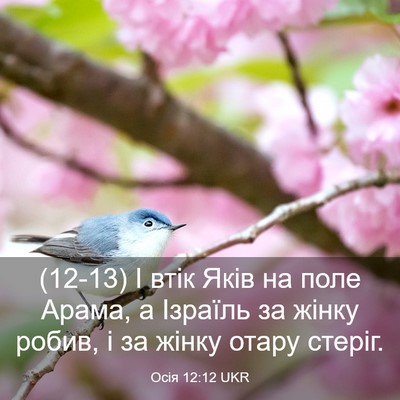Picture 03 - Осія 12:12 UKR - (12-13) І втік Яків на поле - Bible Verse Picture