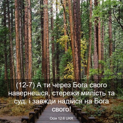 Picture 03 - Осія 12:6 UKR - (12-7) А ти через Бога свого - Bible Verse Picture