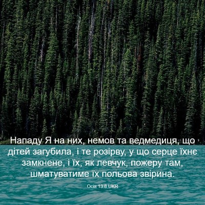 Picture 03 - Осія 13:8 UKR - Нападу Я на них, немов та - Bible Verse Picture