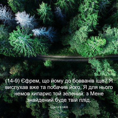 Picture 03 - Осія 14:8 UKR - (14-9) Єфрем, що йому до - Bible Verse Picture