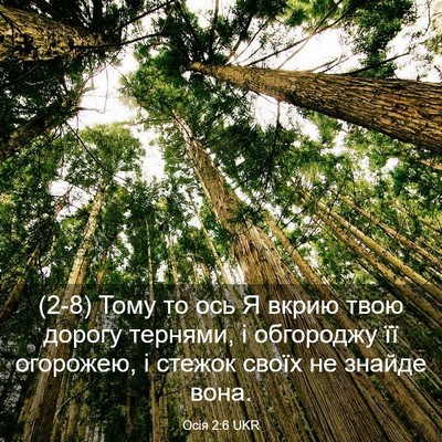 Picture 03 - Осія 2:6 UKR - (2-8) Тому то ось Я вкрию твою - Bible Verse Picture