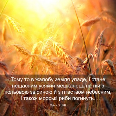 Picture 03 - Осія 4:3 UKR - Тому то в жалобу земля - Bible Verse Picture
