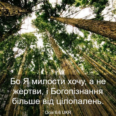 Picture 03 - Осія 6:6 UKR - Бо Я милости хочу, а не - Bible Verse Picture