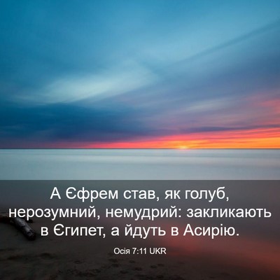 Picture 03 - Осія 7:11 UKR - А Єфрем став, як голуб, - Bible Verse Picture