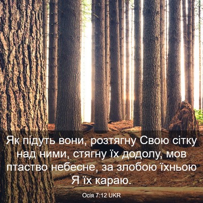 Picture 03 - Осія 7:12 UKR - Як підуть вони, розтягну - Bible Verse Picture