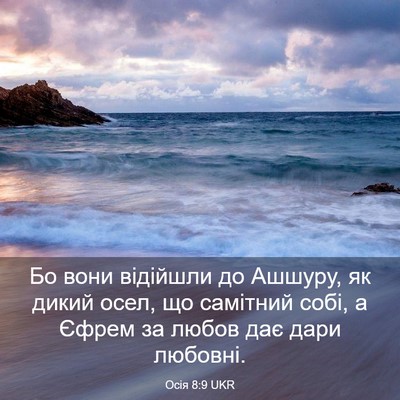 Picture 03 - Осія 8:9 UKR - Бо вони відійшли до Ашшуру, - Bible Verse Picture