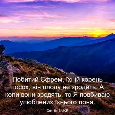 Picture 03 - Осія 9:16 UKR - Побитий Єфрем, їхній - Bible Verse Picture