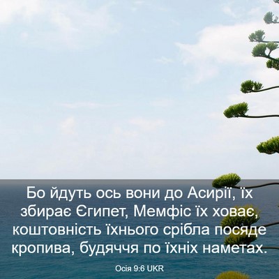 Picture 03 - Осія 9:6 UKR - Бо йдуть ось вони до - Bible Verse Picture