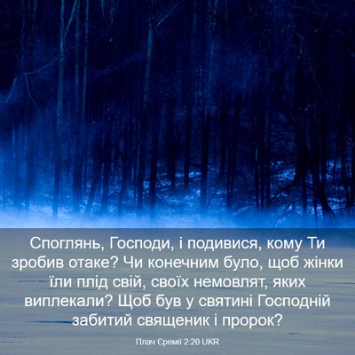 Picture 03 - Плач Єремії 2:20 UKR - Споглянь, Господи, і - Bible Verse Picture